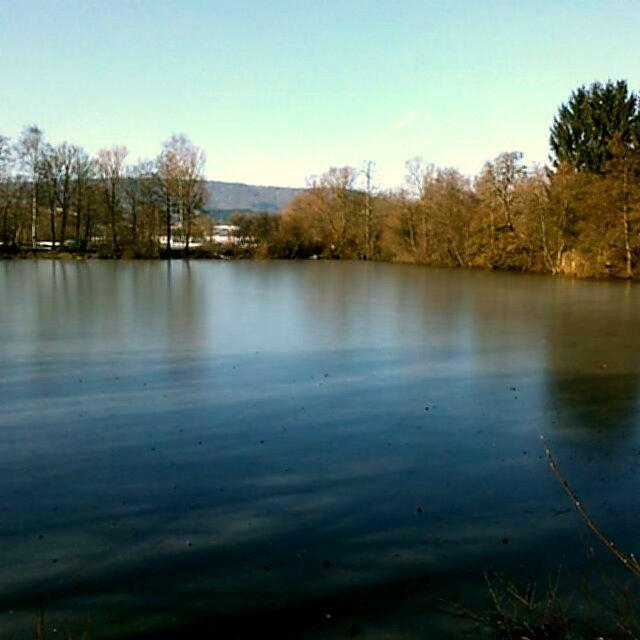 Weiheranlage in Besseringen-Schwemlingen